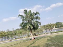 -东莞植物园