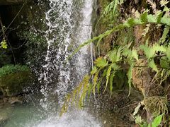 -鹿院坪生态旅游景区