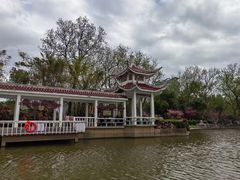 -菱湖风景区