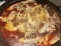 牛蛙火锅-老天桥蛙炉火锅(姑苏总店)