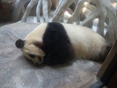 -宁波野生动物园