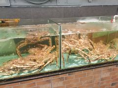 -九號渔港·蒸汽海鲜·粤菜茶点(八卦岭店)