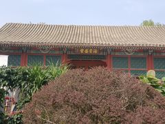 -海棠花溪(元大都城垣遗址公园)