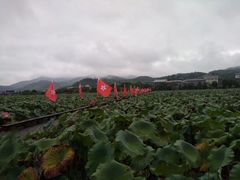 -古田会议纪念馆