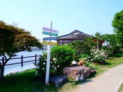 -鹅湖玫瑰文化园