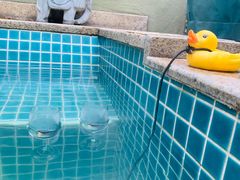 -春晖园度假酒店温泉