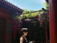 -百好乐宠物友好餐厅(朝外大街店)