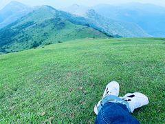 -大姆山草场