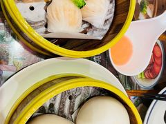 水晶鲜虾饺-香港新曜记茶餐厅(星耀城店)