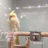 258元两大一小一小时萌宠亲子时光