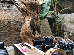 -厦门园林植物园-植物园滴水山房