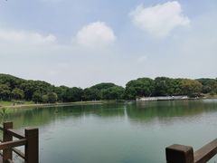 -新洲生态园