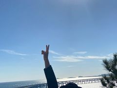 -星海湾跨海大桥