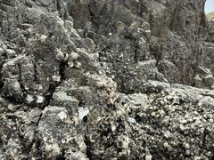 -东海半边山旅游度假区