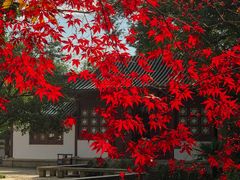 -东湖听涛景区