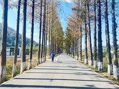 -南北湖风景区