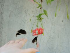 -南丫岛