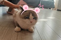 -Beauty Nails 美甲美睫皮肤管理