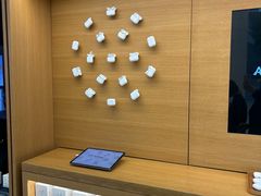 -Apple零售店(苏州店)