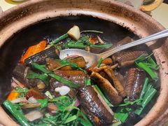 黄鳝啫啫煲-惠食佳(滨江大公馆店)