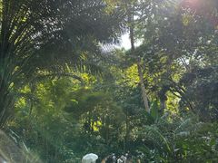 -关西瀑布