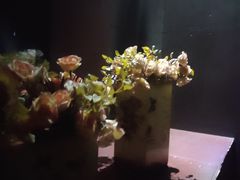 -明日世界密室轰趴·剧本桌游·箭馆团建(国贸店)