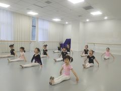 -西安小天鹅艺术团(金花路校区)