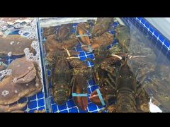 -四道口水产市场