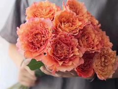 -金陵之星大酒店·中餐厅