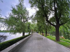 -长春市南湖公园