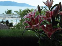-越海渔村