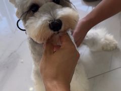 -瑞派罗医生宠物诊所(古镇分所)