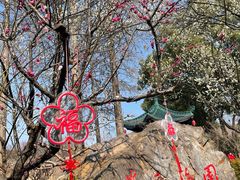 -无锡梅园公园