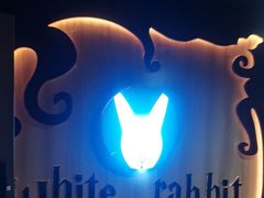 -白兔子密室(长寿路店)