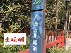 -阳台山森林公园