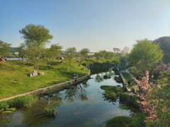 -羊山湖公园