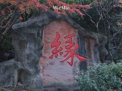 -杭州黄龙洞
