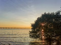 -宝安西湾红树林湿地公园