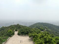 -杭州半山国家森林公园