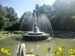 -潇湘甲鱼村(清河店)