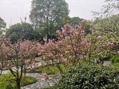 -南山植物园