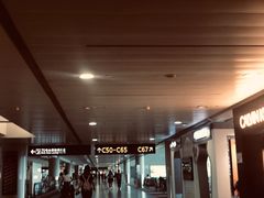 -上海浦东国际机场-T2航站楼