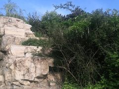 -北京西山国家森林公园