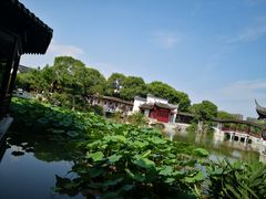 -八大山人梅湖景区