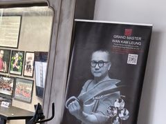 -温鉴良实用咏春拳