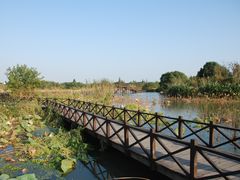 -梁鸿国家湿地公园