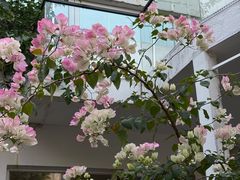 -Lamant Manor已闻花名关於蓝