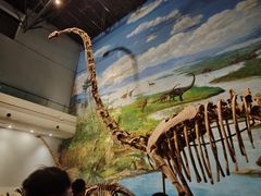 -自贡恐龙博物馆