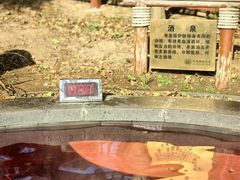 -东海森林温泉度假酒店