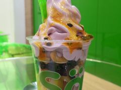 -Salud撒露欧洲冻酸奶(蓝色港湾店)